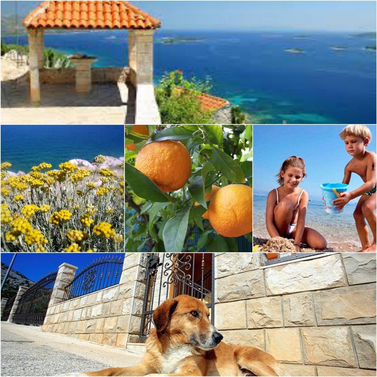 Holiday Home Mirela Оребич Экстерьер фото